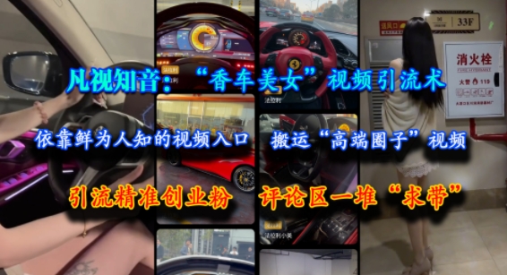 凡视知音：“香车美女”视频引流术，依靠鲜为人知的视频入口，搬运“高端圈子”视频，引流精准创业粉，评论区一堆“求带”-木鱼网创