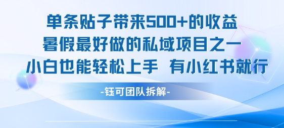 单条贴子带来5张的收益，暑假最好做的私域项目之一，小白也能轻松上手，有小红书就行-木鱼网创